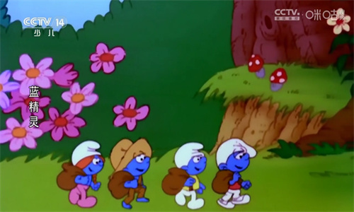 ipv6电视直播截图1